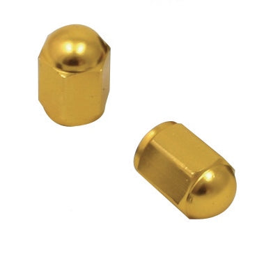 DRC/Zeta/Unit Valve CAP ALU GOL QTY2 Drczeta