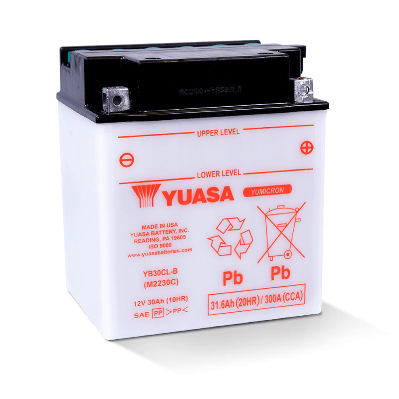 Yuasa YB30CL-B YUMICRON 12V BATTERY