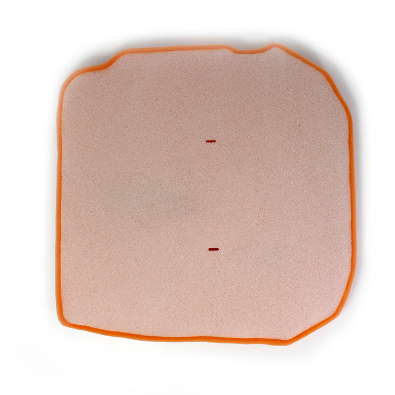 Twin Air PERFORMANCE AIR FILTER