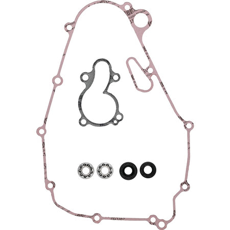 VertexWinderosa Water Pump Repair KIT Kawa Allballs