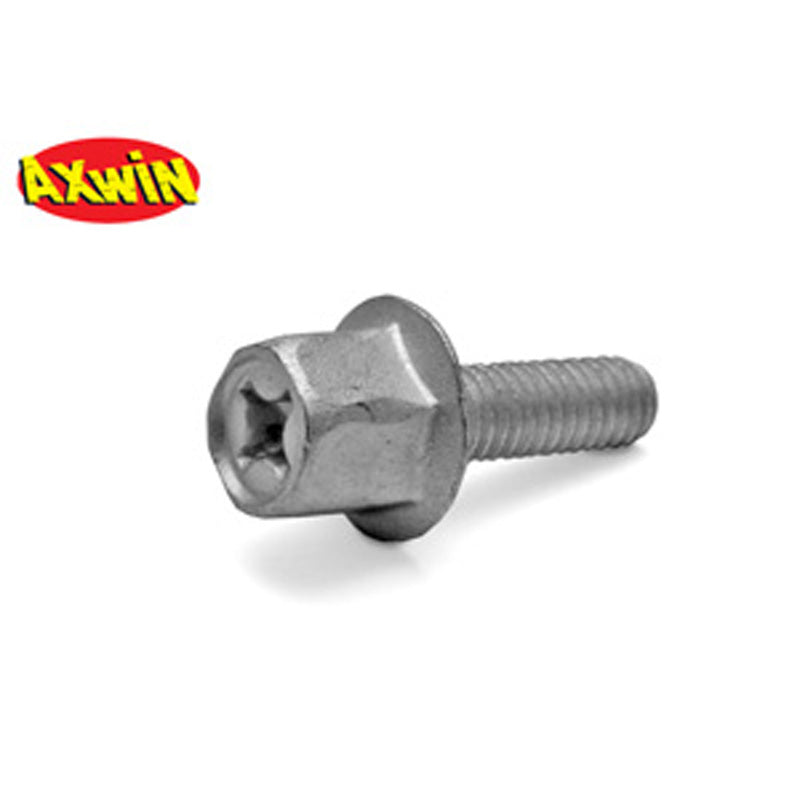 Tnt EXHAUST SCREW 6MM