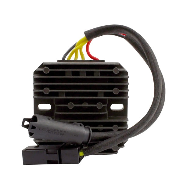 Biker Lab Regulator BMW