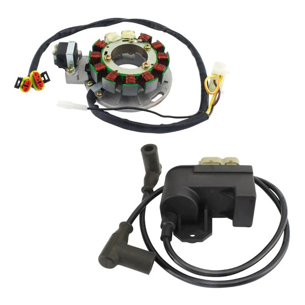 Biker Lab Stator + CDI IGN Module POL