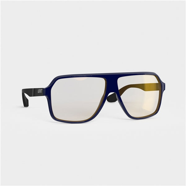 Leatt Sunglas Theviz Andes DBL Polarized Plat